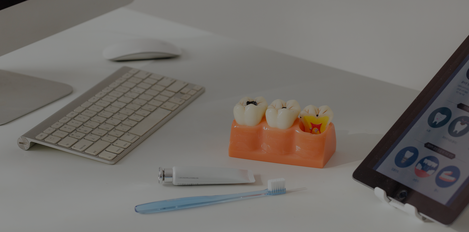 ON MAUM DENTAL CLINIC|온마음치과의원|꼼꼼하고 정직하게 진료하며, 환자분의 건강한 치아를 위해 노력할 것을 약속합니다.